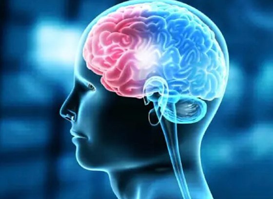 Neuro Trauma treatment in Jaipur